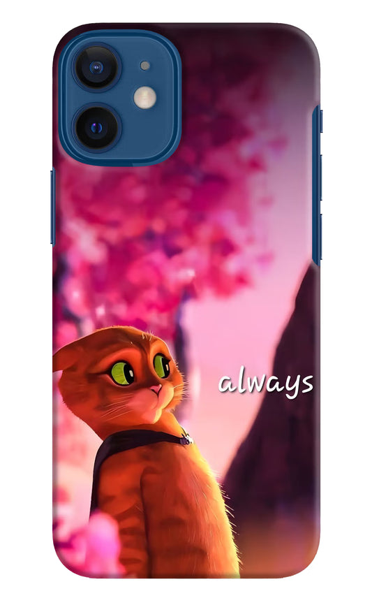 Always Cat iPhone 12 Mini Hard Case Back Cover by Casekaro