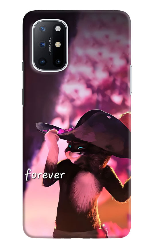 Forever Cat Oneplus 8T Back Cover