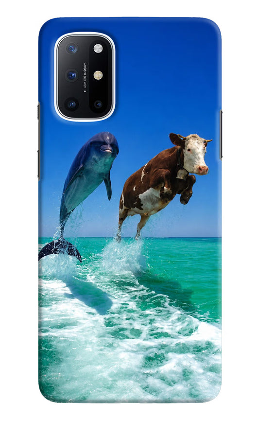 Dolphin vs Cow Oneplus 8T Hard Case Back Cover by Casekaro