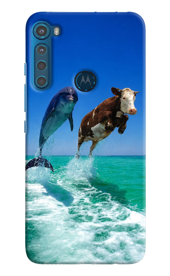 Dolphin vs Cow Motorola One Fusion Plus Hard Case Back Cover by Casekaro