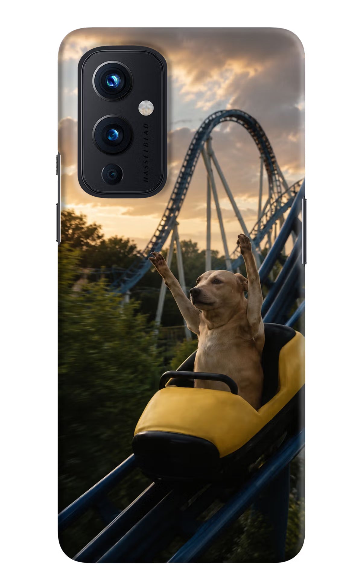 Rollercoaster Dog Oneplus 9 Back Cover