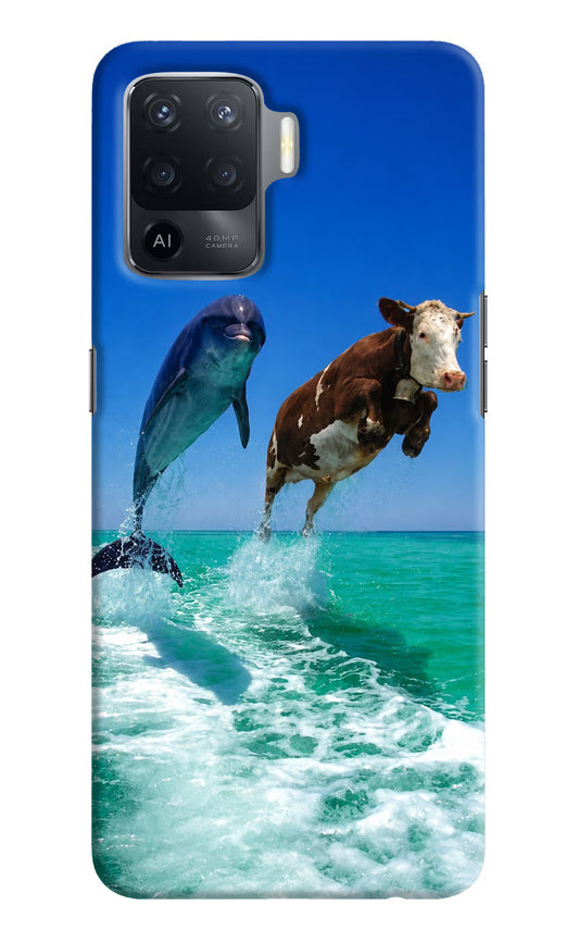 Dolphin vs Cow Oppo F19 Pro Hard Case Back Cover by Casekaro