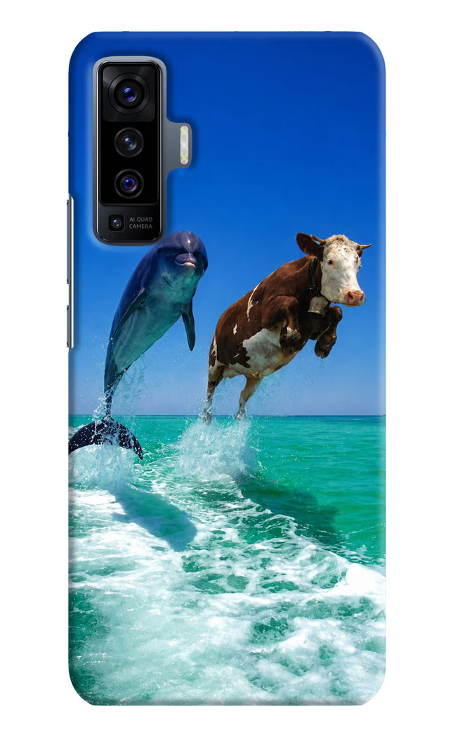 Dolphin vs Cow Vivo X50 Hard Case Back Cover by Casekaro