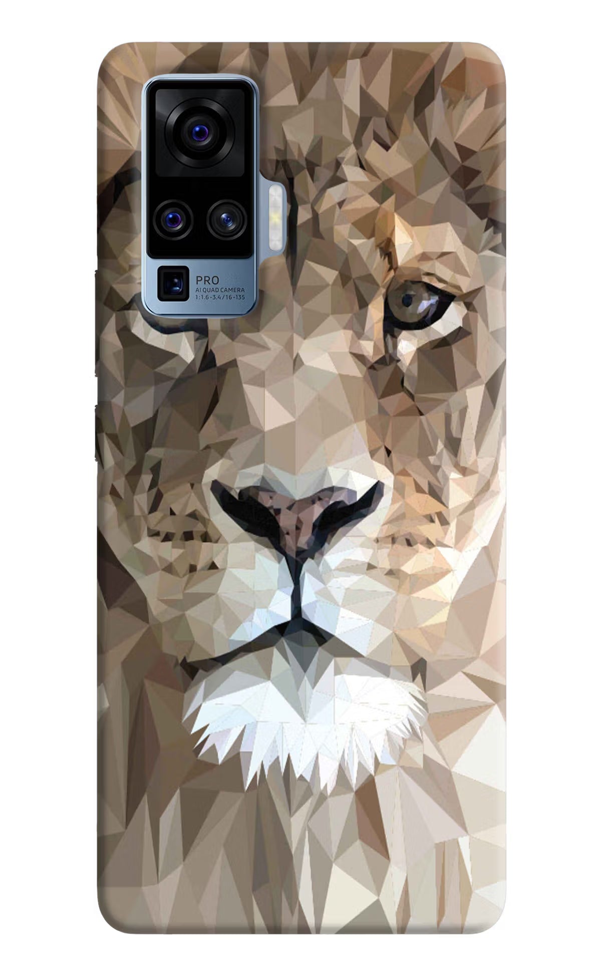 Lion Art Vivo X50 Pro Hard Case Back Cover by Casekaro