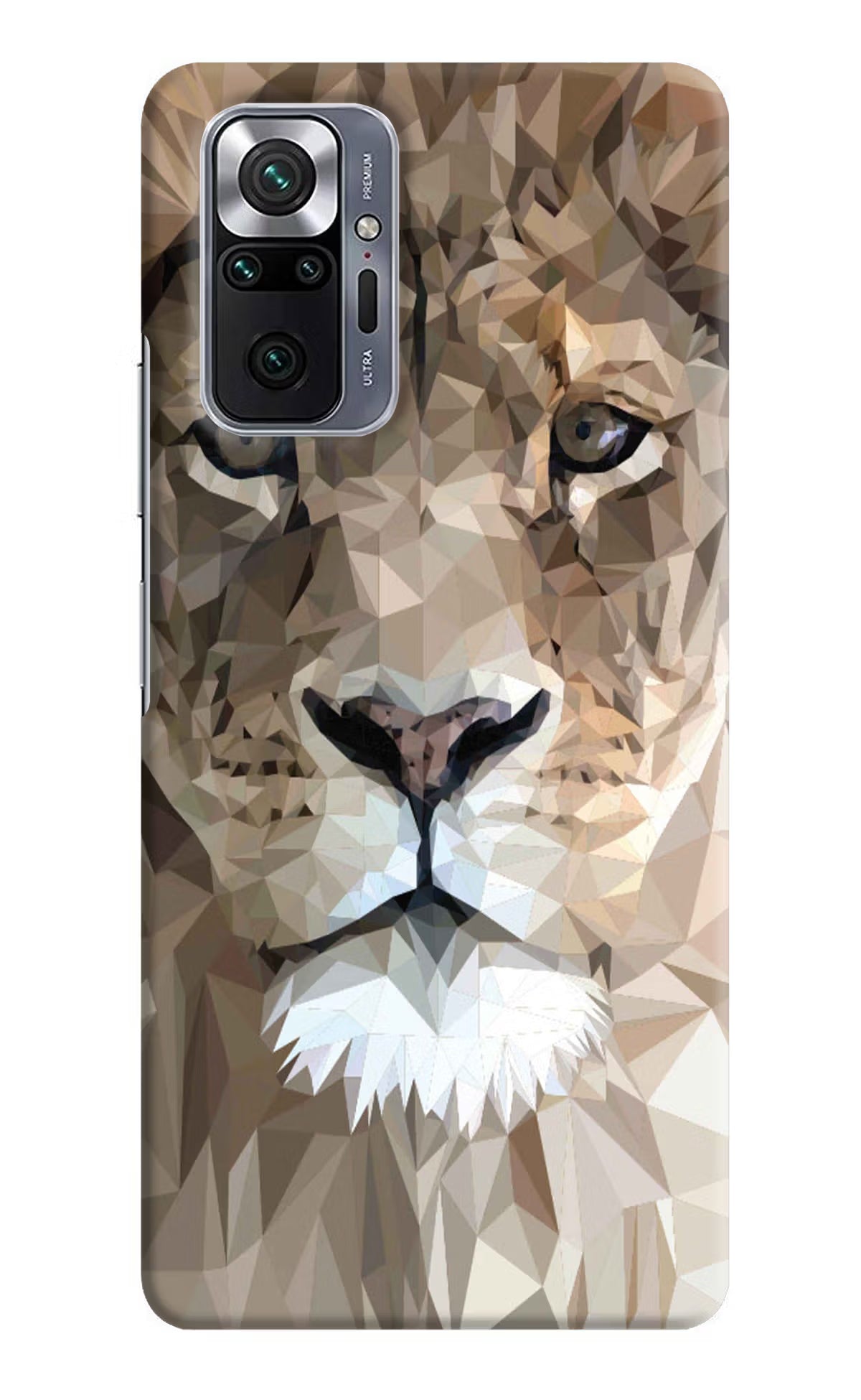 Lion Art Redmi Note 10 Pro Hard Case Back Cover by Casekaro