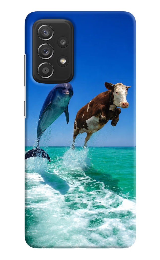 Dolphin vs Cow Samsung A52/A52s 5G Hard Case Back Cover by Casekaro