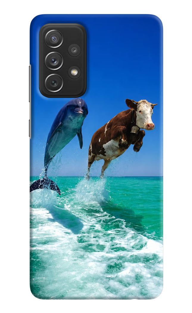 Dolphin vs Cow Samsung A72 Hard Case Back Cover by Casekaro