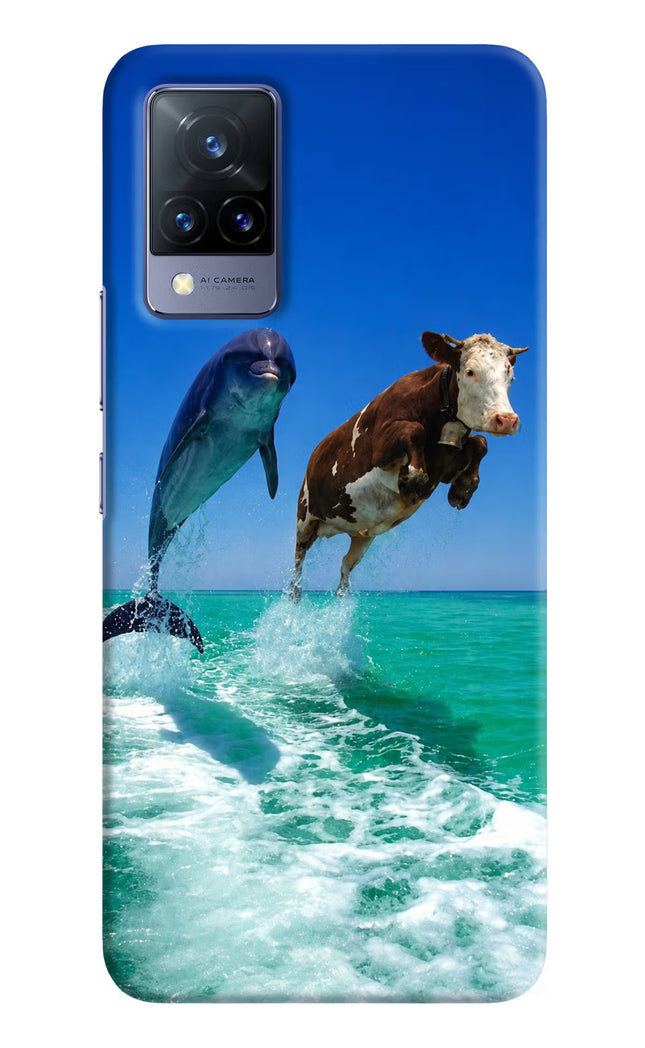 Dolphin vs Cow Vivo V21 Hard Case Back Cover by Casekaro