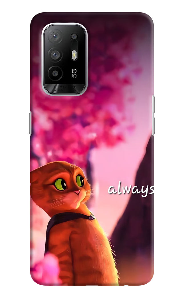 Always Cat Oppo F19 Pro+ Hard Case Back Cover by Casekaro