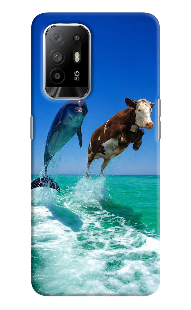 Dolphin vs Cow Oppo F19 Pro+ Hard Case Back Cover by Casekaro