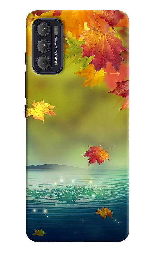 Flowers Moto G60/G40 Fusion Back Cover