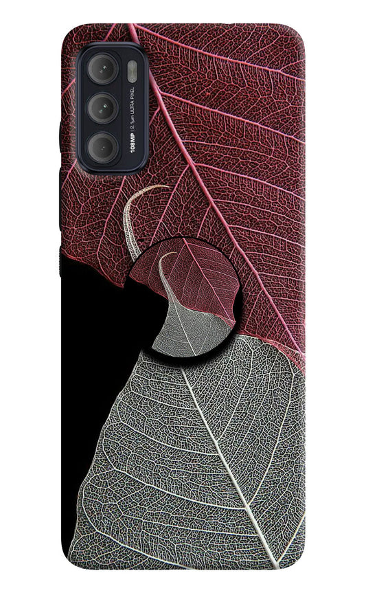 Leaf Pattern Moto G60/G40 Fusion Pop Case