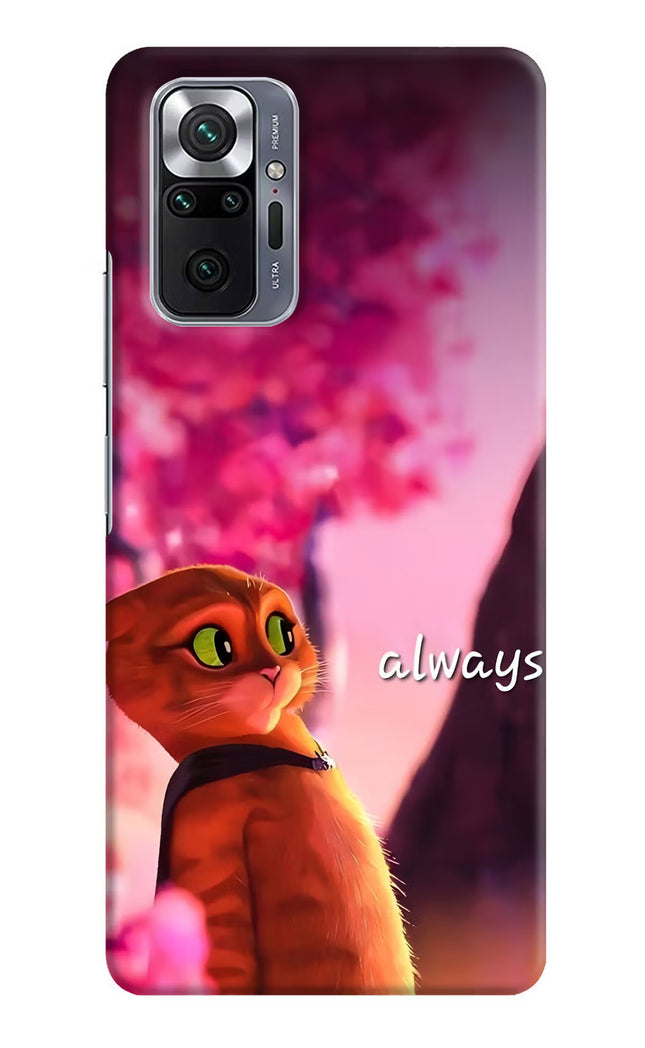 Always Cat Redmi Note 10 Pro Max Hard Case Back Cover by Casekaro