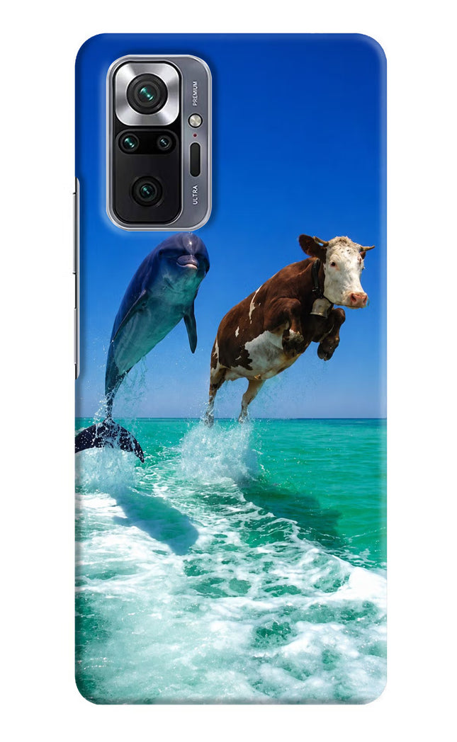 Dolphin vs Cow Redmi Note 10 Pro Max Hard Case Back Cover by Casekaro