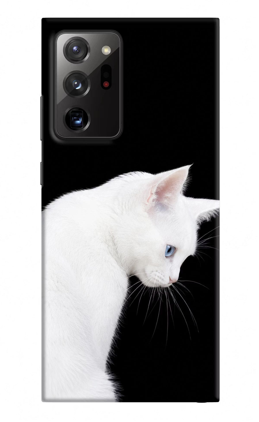 Snow Gaze Samsung Note 20 Ultra Back Cover, Hard case