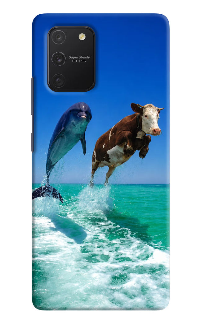 Dolphin vs Cow Samsung S10 Lite Hard Case Back Cover by Casekaro