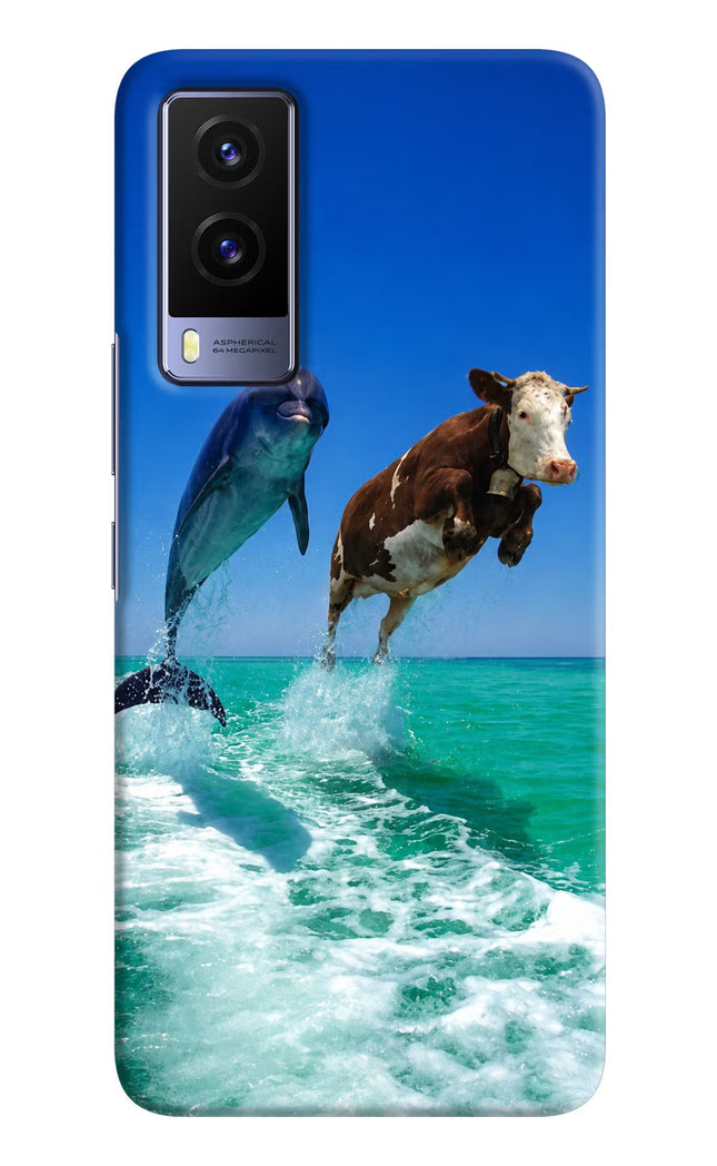 Dolphin vs Cow Vivo V21E 5G Hard Case Back Cover by Casekaro