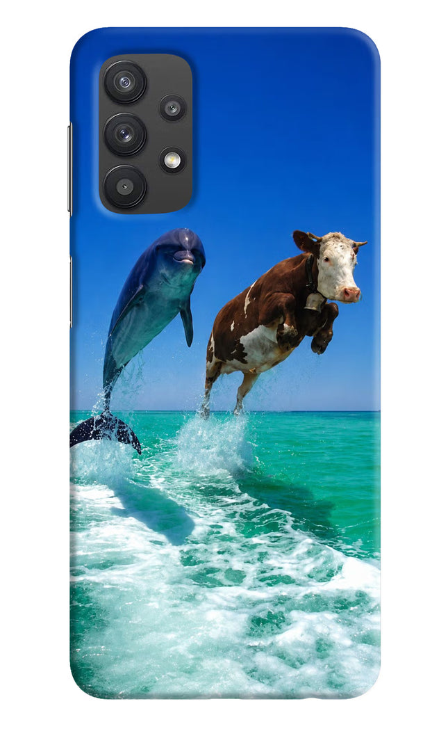 Dolphin vs Cow Samsung M32 5G Hard Case Back Cover by Casekaro