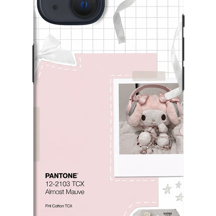 Pantone Asthetic iPhone 13 Hard Case Back Cover by Casekaro