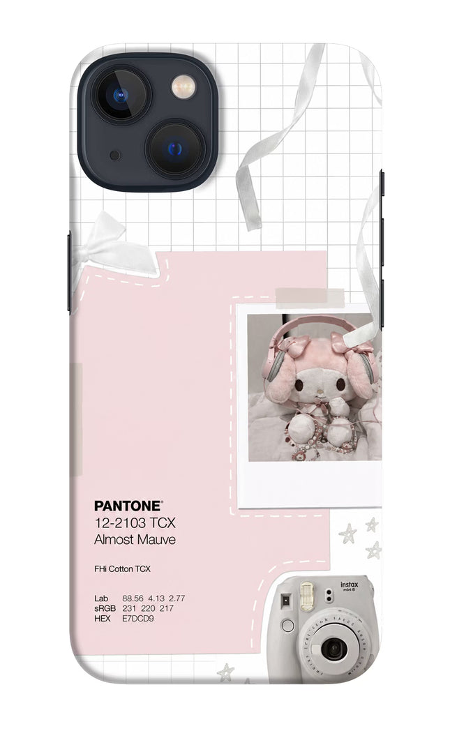 Pantone Asthetic iPhone 13 Hard Case Back Cover by Casekaro