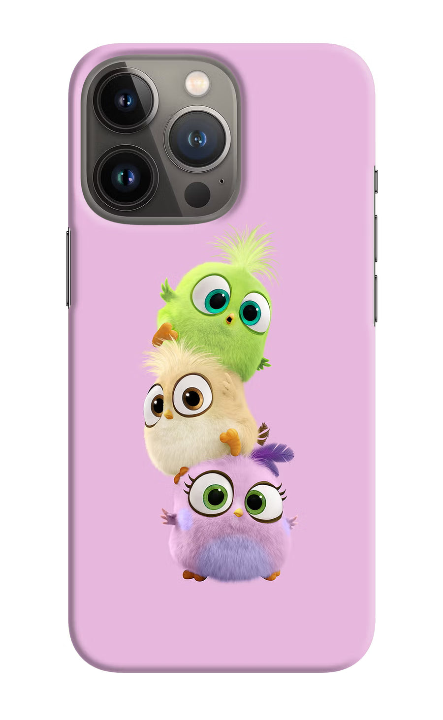 Cute Little Birds iPhone 13 Pro Back Cover, Hard case