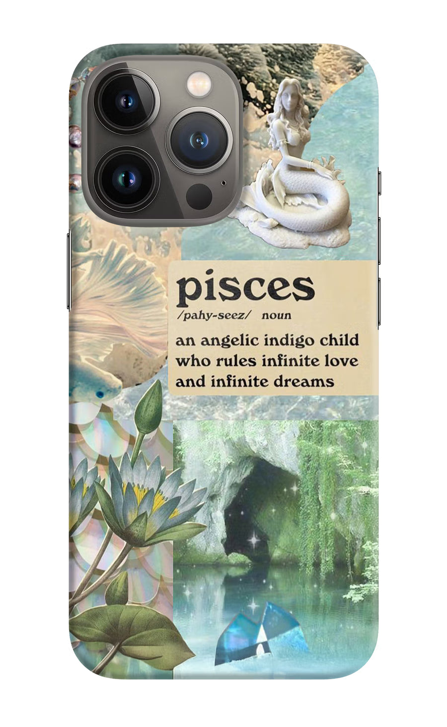 Pisces Zodiac iPhone 13 Pro Back Cover, Hard case