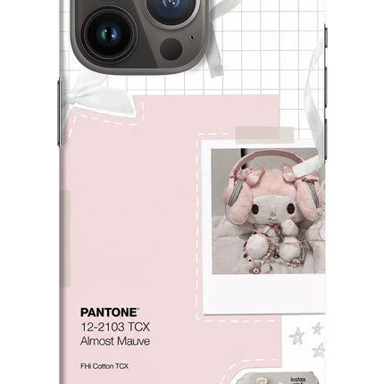Pantone Asthetic iPhone 13 Pro Hard Case Back Cover by Casekaro
