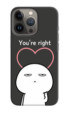 You're Right iPhone 13 Pro Hard Case Back Cover by Casekaro