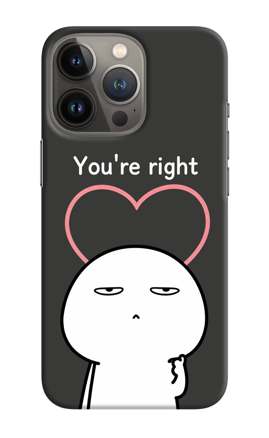 You're Right iPhone 13 Pro Back Cover, Hard case