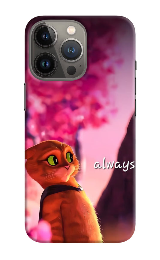 Always Cat iPhone 13 Pro Hard Case Back Cover by Casekaro