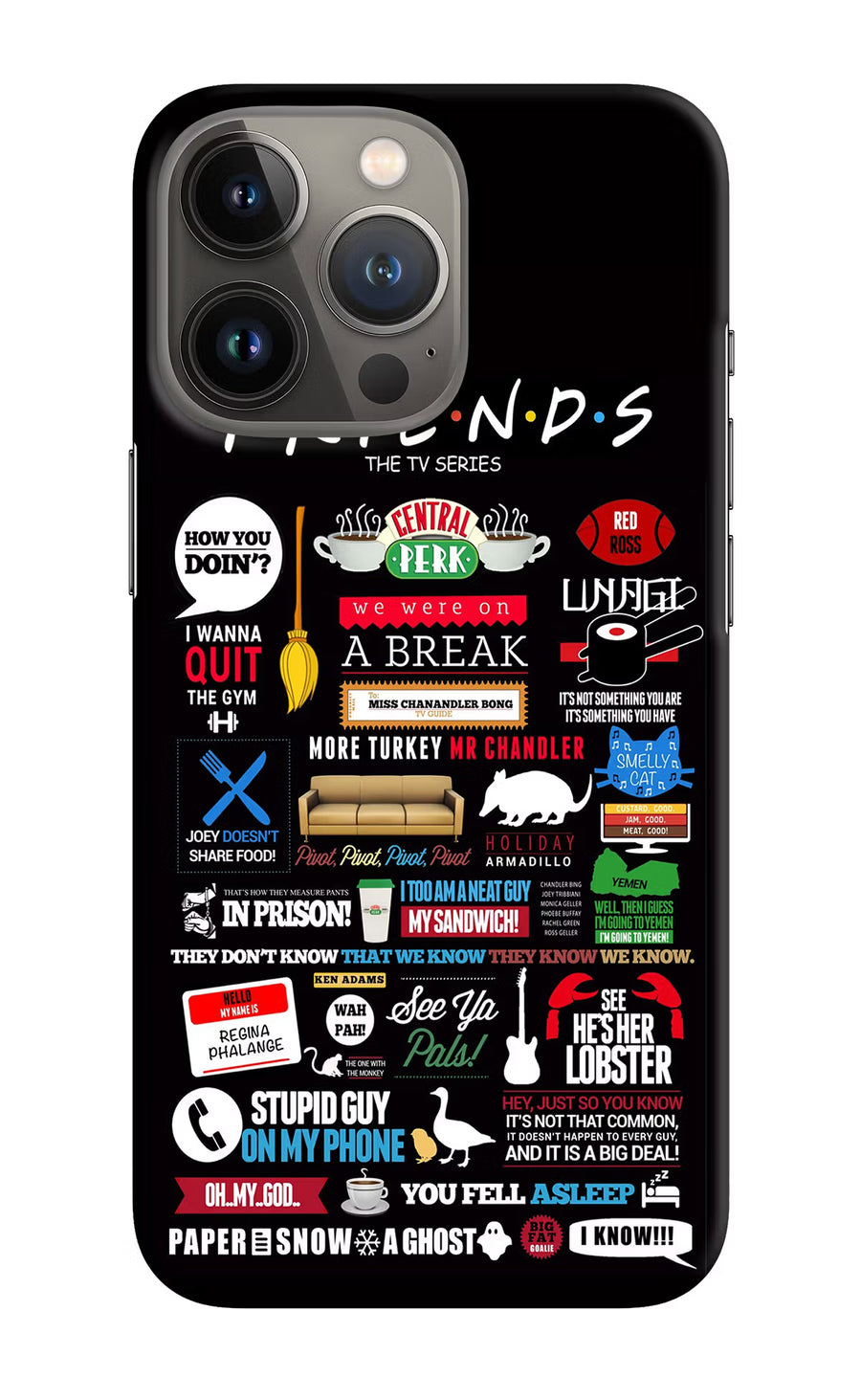 FRIENDS iPhone 13 Pro Max Back Cover, Hard case