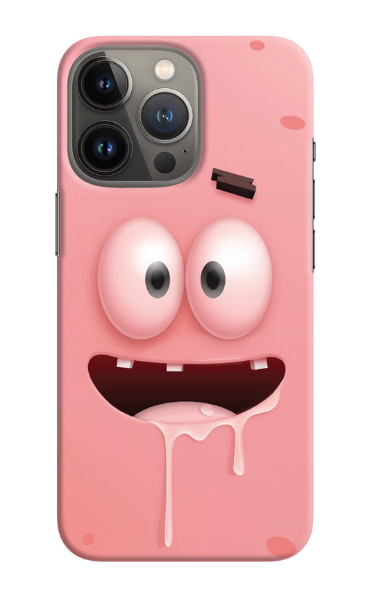 Sponge 2 iPhone 13 Pro Max Hard Case Back Cover by Casekaro
