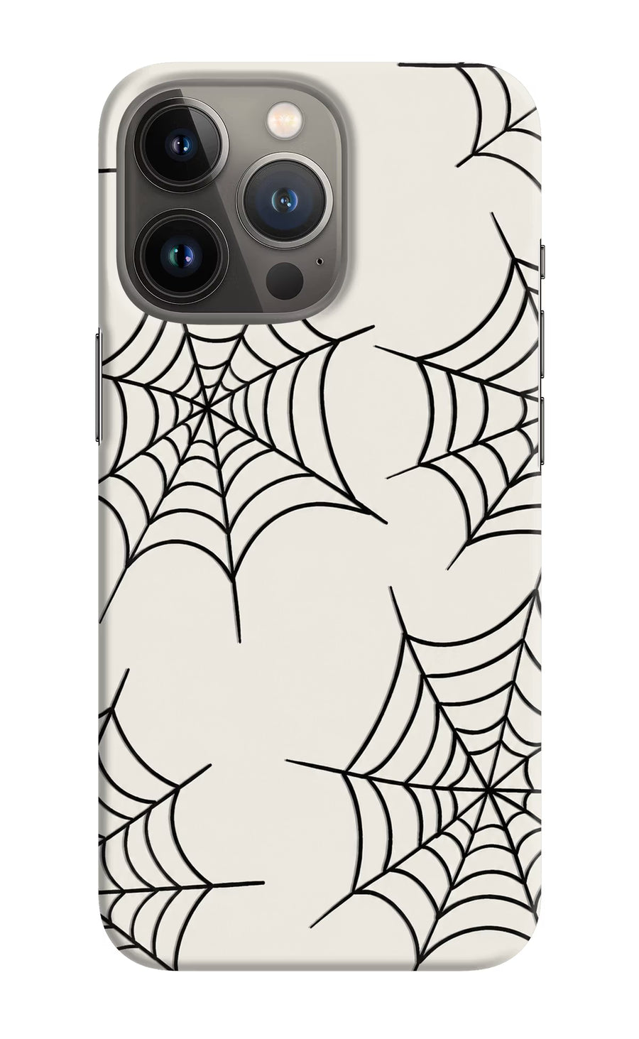 Spider Web iPhone 13 Pro Max Back Cover, Hard case