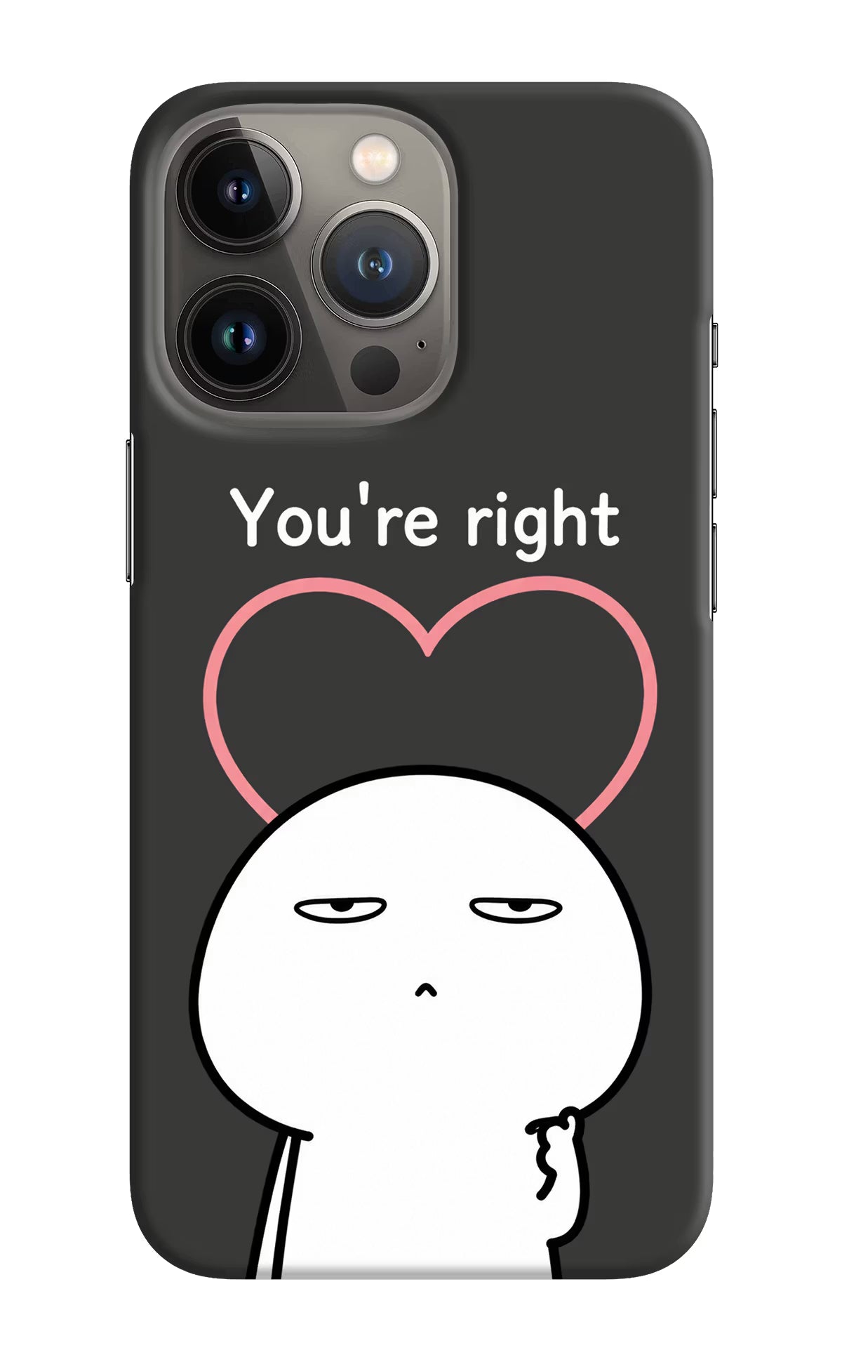 You're Right iPhone 13 Pro Max Back Cover