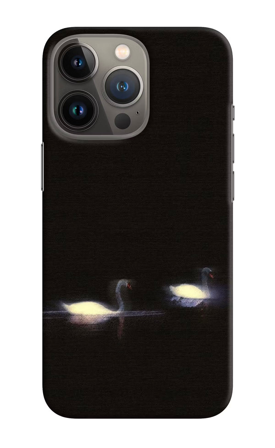 Silent Swans iPhone 13 Pro Max Back Cover, Hard case