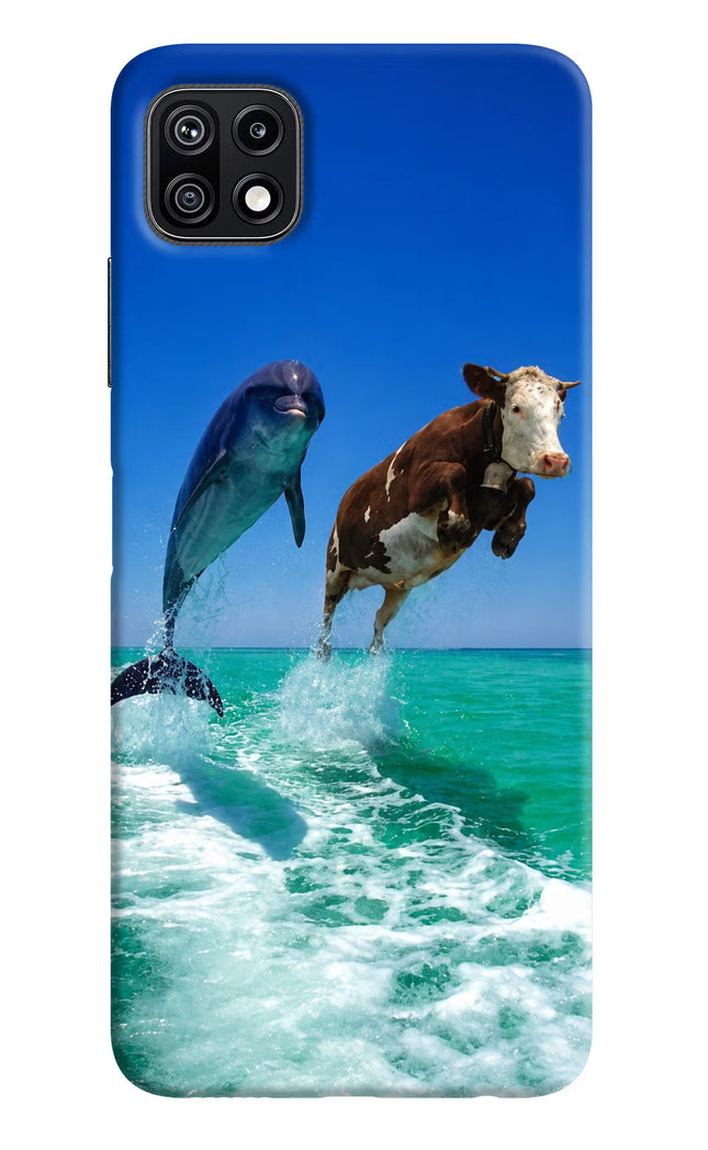 Dolphin vs Cow Samsung F42 5G Hard Case Back Cover by Casekaro
