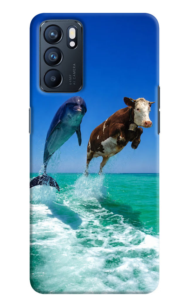 Dolphin vs Cow Oppo Reno6 5G Hard Case Back Cover by Casekaro