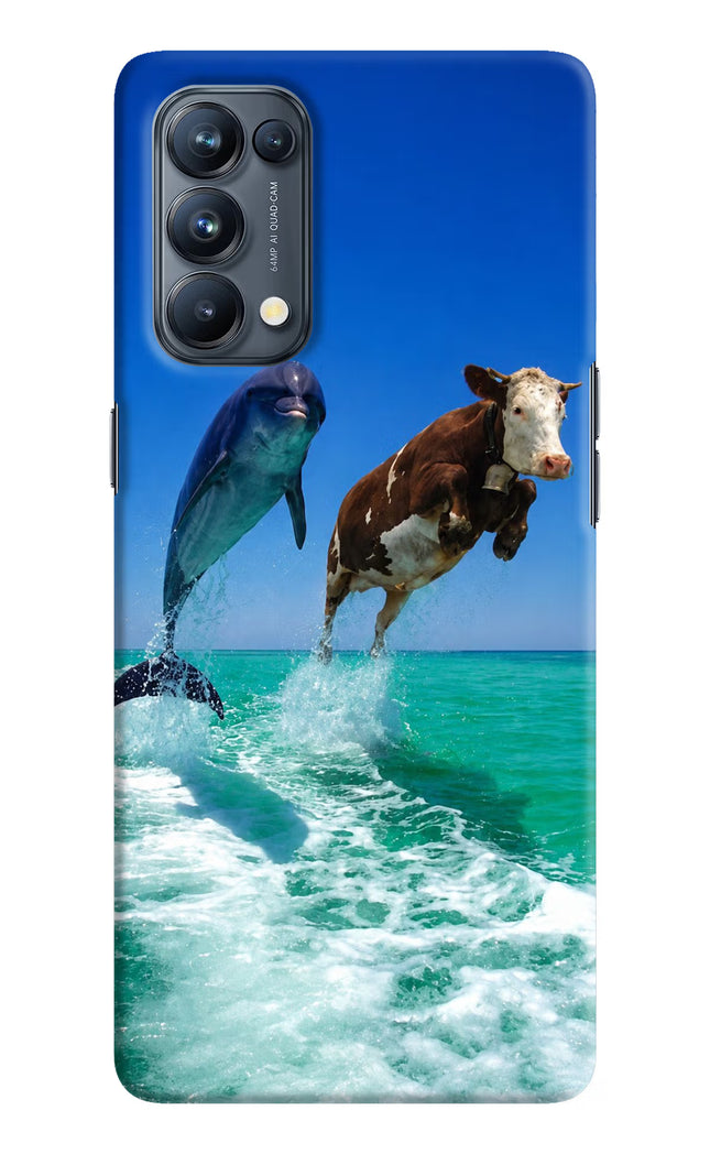 Dolphin vs Cow Oppo Reno5 Pro 5G Hard Case Back Cover by Casekaro