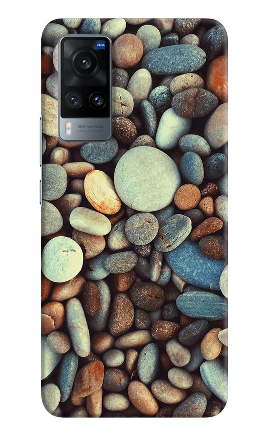 Pebble Vivo X60 Hard Case Back Cover by Casekaro