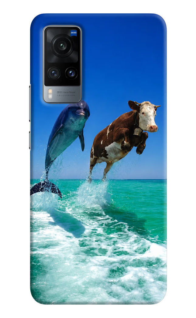 Dolphin vs Cow Vivo X60 Hard Case Back Cover by Casekaro
