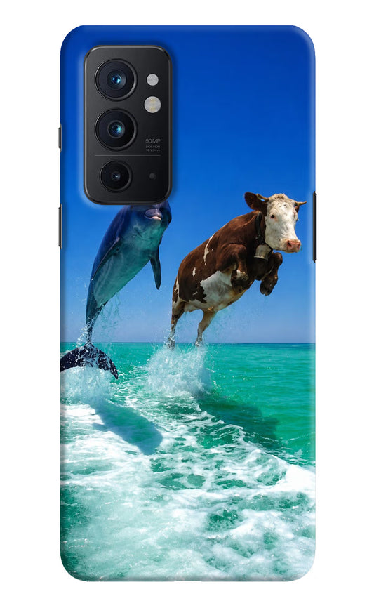 Dolphin vs Cow Oneplus 9RT Hard Case Back Cover by Casekaro
