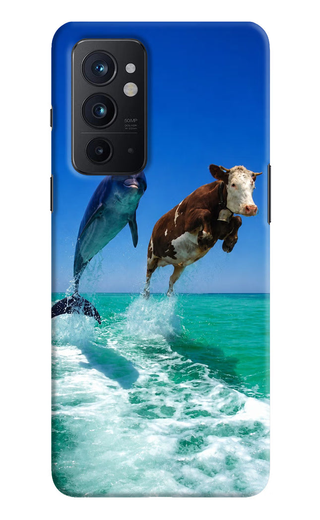 Dolphin vs Cow Oneplus 9RT Hard Case Back Cover by Casekaro