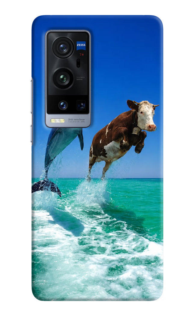 Dolphin vs Cow Vivo X60 Pro+ Hard Case Back Cover by Casekaro