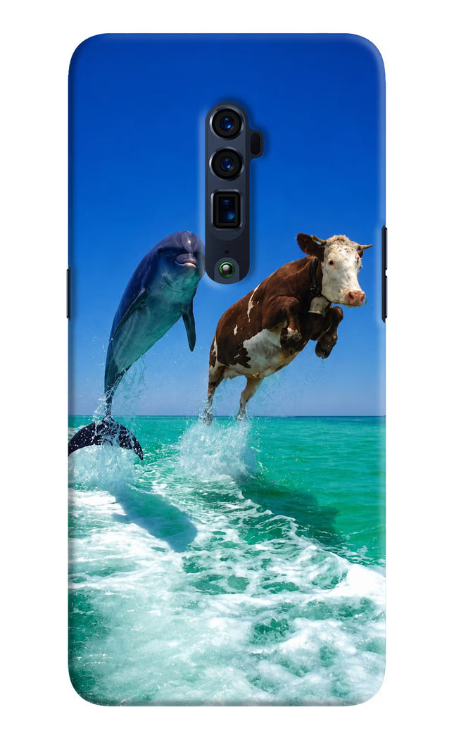 Dolphin vs Cow Oppo Reno 10x Zoom Hard Case Back Cover by Casekaro