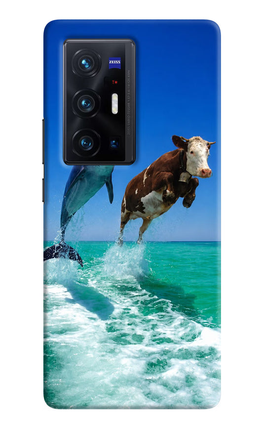 Dolphin vs Cow Vivo X70 Pro+ Hard Case Back Cover by Casekaro