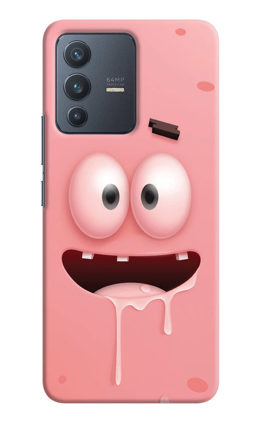 Sponge 2 Vivo V23 5G Hard Case Back Cover by Casekaro
