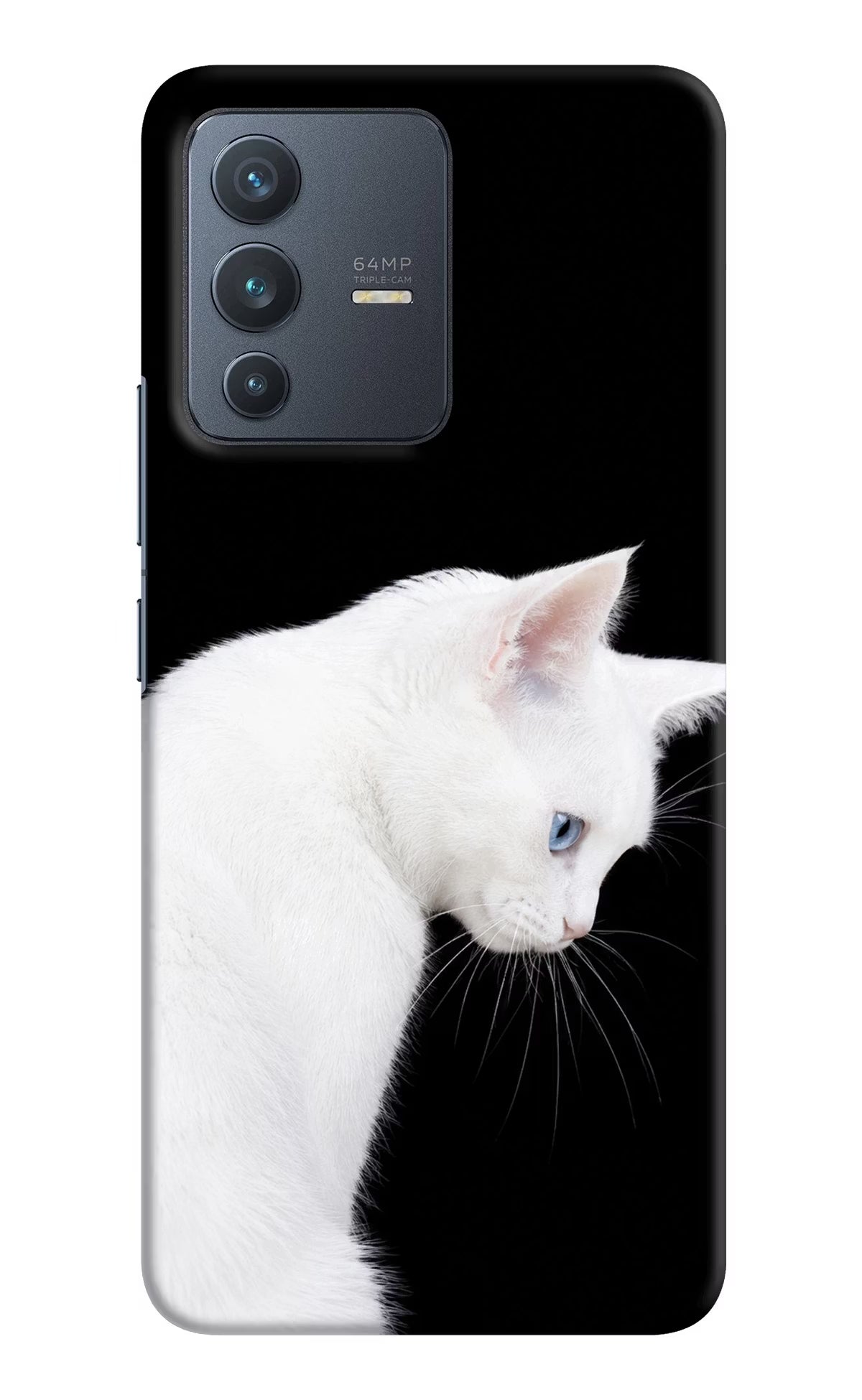 Snow Gaze Vivo V23 5G Back Cover