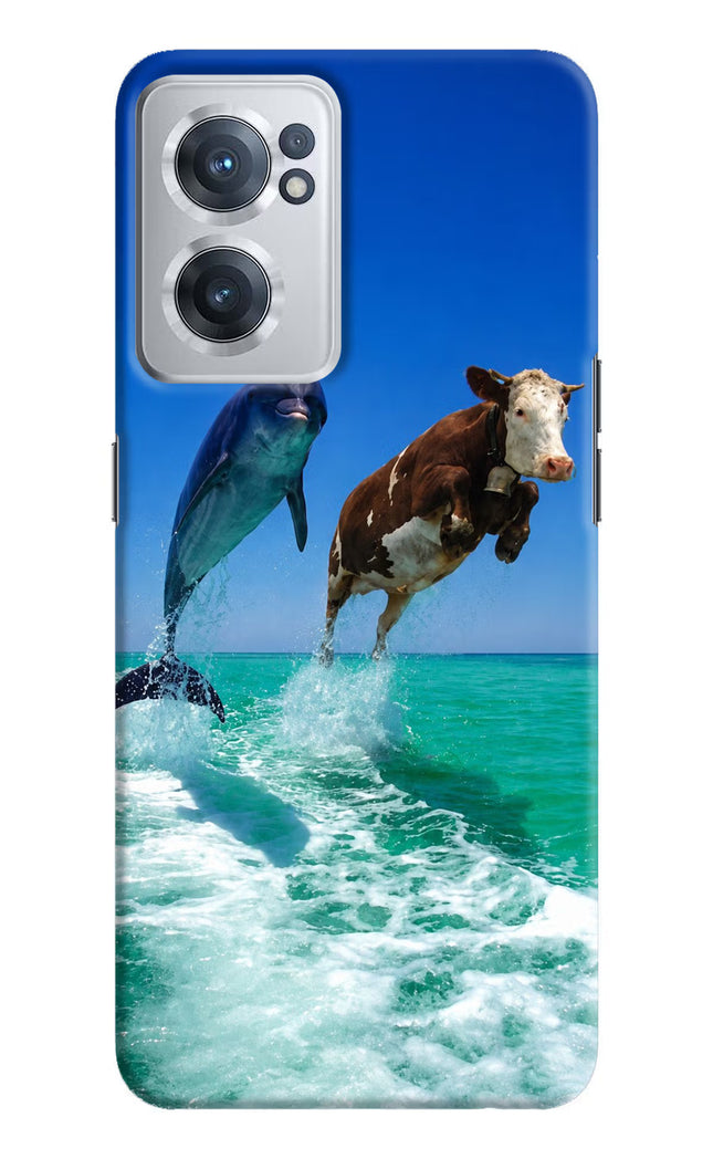 Dolphin vs Cow OnePlus Nord CE 2 5G Hard Case Back Cover by Casekaro