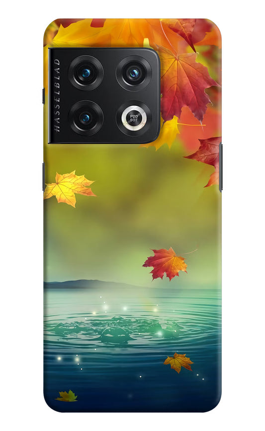 Flowers OnePlus 10 Pro 5G Hard Case Back Cover by Casekaro