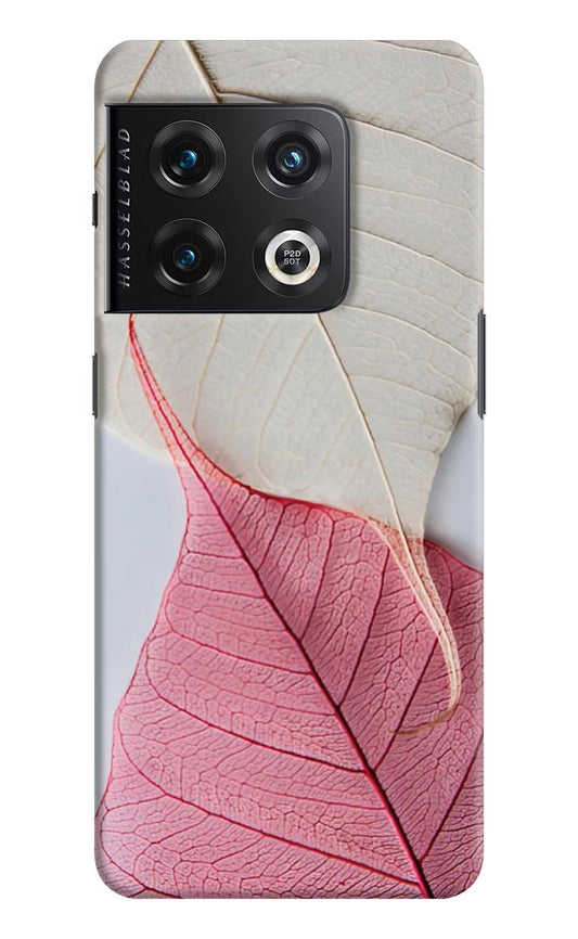 White Pink Leaf OnePlus 10 Pro 5G Hard Case Back Cover by Casekaro